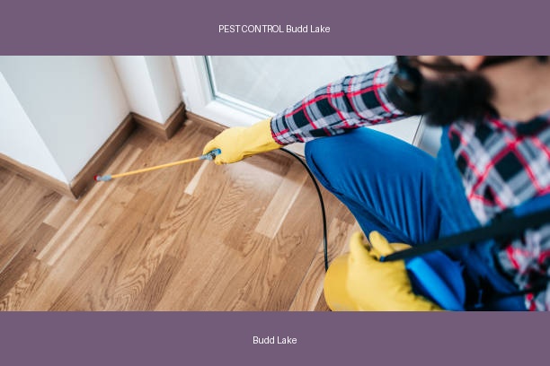 PEST CONTROL Budd Lake